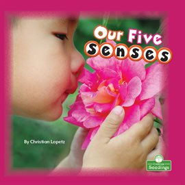 Imagen de portada para Our Five Senses