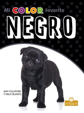 Cover image for Negro