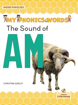 Cover image for The Sound of AM