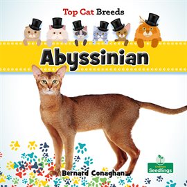 Imagen de portada para Abyssinian