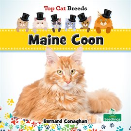 Imagen de portada para Maine Coon