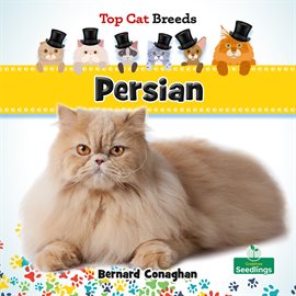 Imagen de portada para Persian