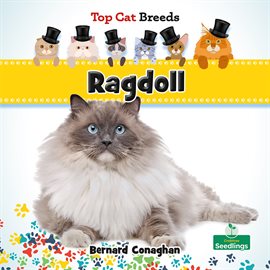 Imagen de portada para Ragdoll