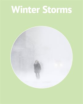 Cover image for Winter Storms