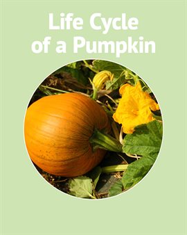 Cover image for Life Cycle of a Pumpkin