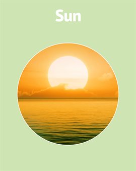 Cover image for The Sun
