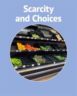 Cover image for Economic Scarcity and Choices