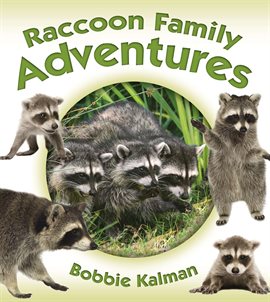 Cover image for Raccoon Family Adventures