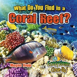 Cover image for What Do You Find in a Coral Reef?