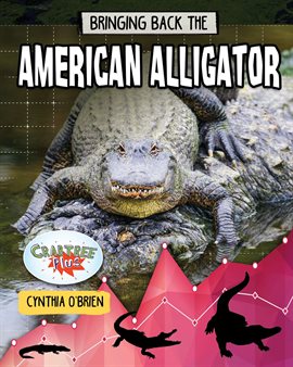 Cover image for Bringing Back the American Alligator