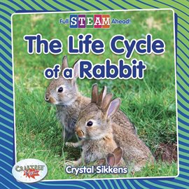 Cover image for The Life Cycle of a Rabbit