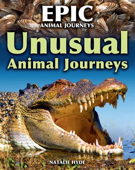 Cover image for Unusual Animal Journeys
