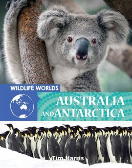 Cover image for Wildlife Worlds Australia and Antarctica