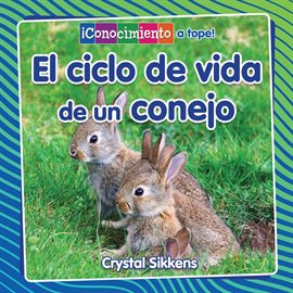Cover image for El ciclo de vida de un conejo