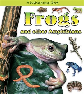 Cover image for Frogs and other Amphibians