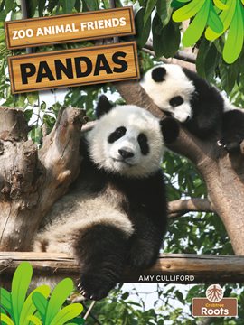Cover image for Pandas