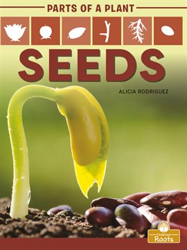 Imagen de portada para Seeds