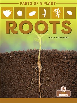 Imagen de portada para Roots