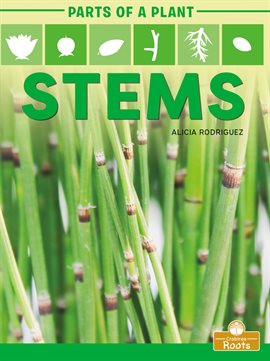 Imagen de portada para Stems