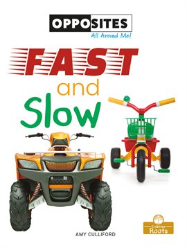 Cover image for Fast and Slow