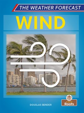 Cover image for Wind