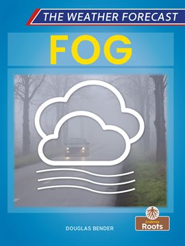 Cover image for Fog