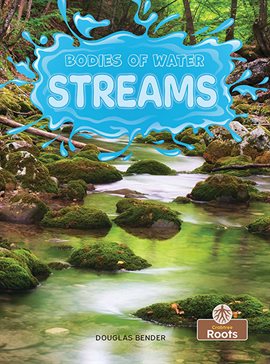 Cover image for Streams