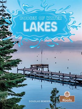 Cover image for Lakes