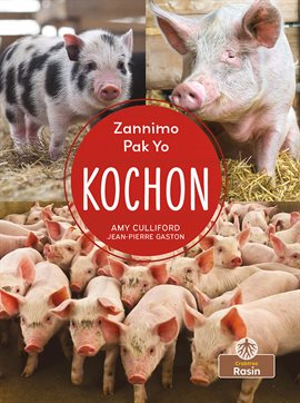 Kochon (Pigs)