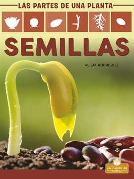Imagen de portada para Semillas