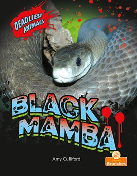 Cover image for Black Mamba
