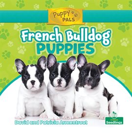 Cover image for French Bulldog Puppies