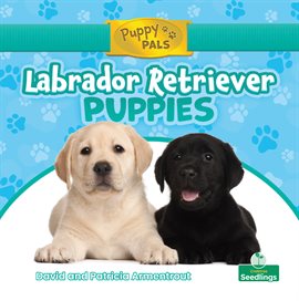 Cover image for Labrador Retriever Puppies