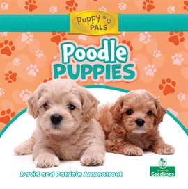 Cover image for Poodle Puppies