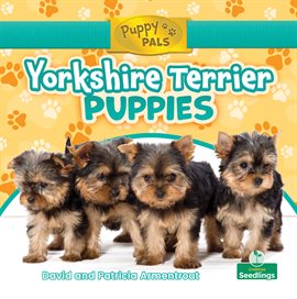 Cover image for Yorkshire Terrier Puppies