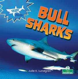 Cover image for Bull Sharks