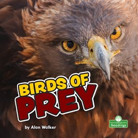 Cover image for Birds of Prey