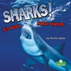 Cover image for Sharks! Big Teeth, Fierce Hunters
