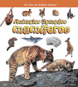 Cover image for Animales llamados mamíferos