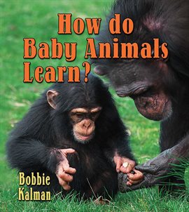 Cover image for How do baby animals learn?
