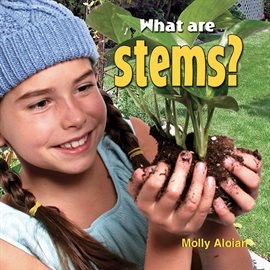 Cover image for What are stems?