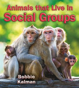 Cover image for Animals that Live in Social Groups