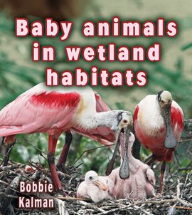 Cover image for Baby animals in wetland habitats