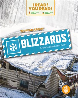 Cover image for We Read About Blizzards