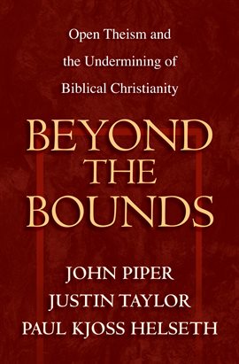 Imagen de portada para Beyond the Bounds