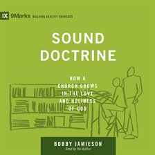 Imagen de portada para Sound Doctrine