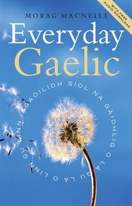 Cover image for Everyday Gaelic