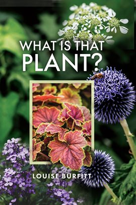 Cover image for What Is That Plant?