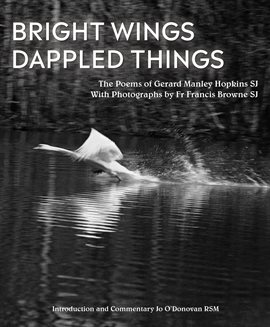 Cover image for Bright Wings, Dappled Things