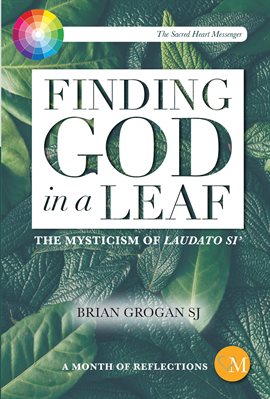 Cover image for Finding God in a Leaf